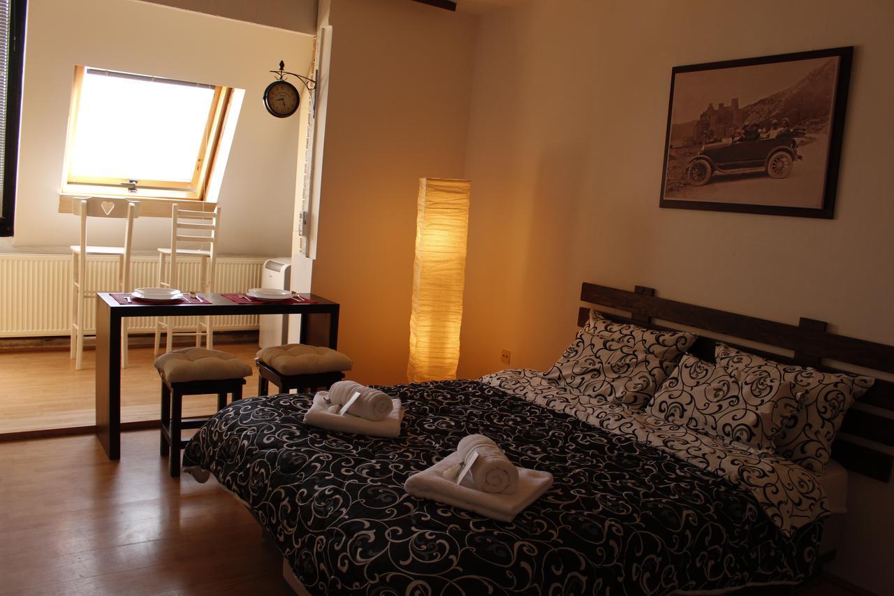 Apartman "Soba Sa Pogledom" Golubac Extérieur photo
