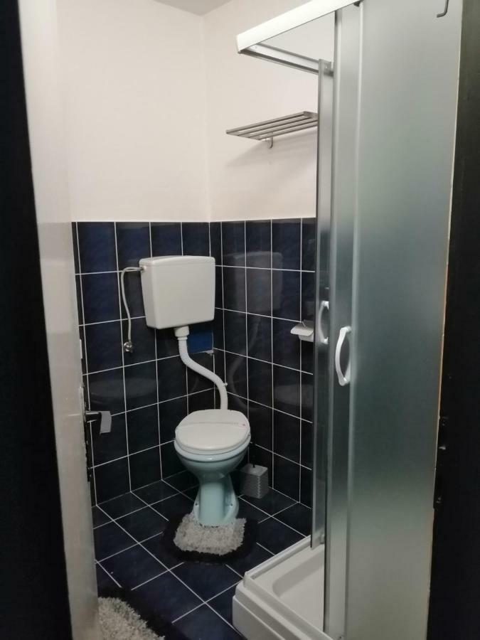 Apartman "Soba Sa Pogledom" Golubac Extérieur photo