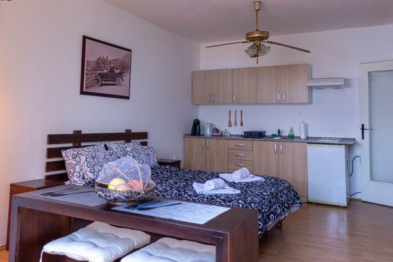 Apartman "Soba Sa Pogledom" Golubac Extérieur photo