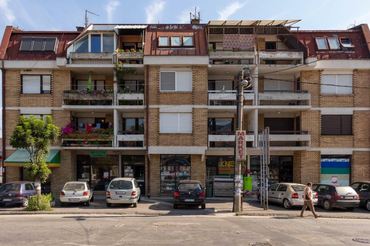 Apartman "Soba Sa Pogledom" Golubac Extérieur photo